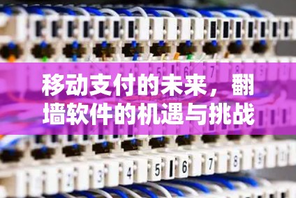 移动支付的未来，翻墙软件的机遇与挑战