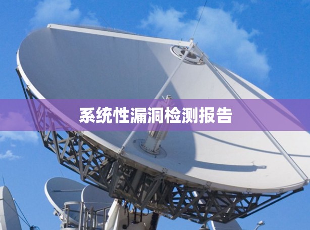 系统性漏洞检测报告