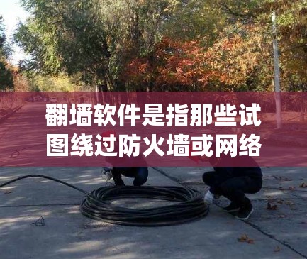 翻墙软件是指那些试图绕过防火墙或网络防火墙的软件，通常用于共享网络资源、远程文件存储等。翻墙软件的稳定性和安全性是需要关注的，以防止它们被恶意攻击或用于非法活动