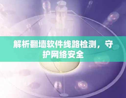 解析翻墙软件线路检测，守护网络安全