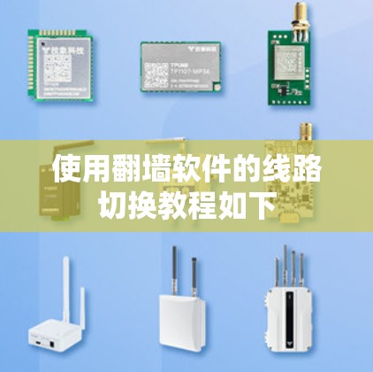 使用翻墙软件的线路切换教程如下