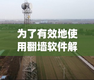 为了有效地使用翻墙软件解决网络问题，以下是一个系统化的指南，帮助您做出明智的选择