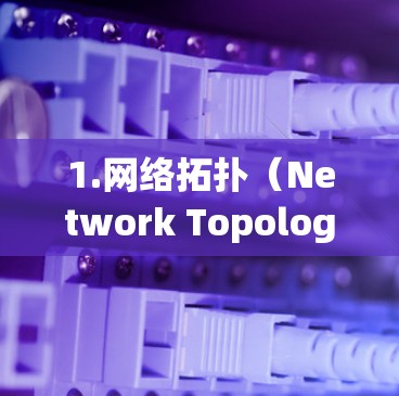 1.网络拓扑（Network Topology）