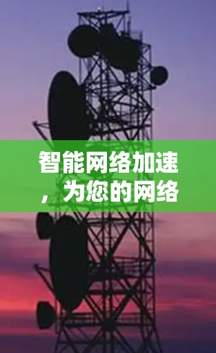智能网络加速，为您的网络之路加速，为您的数据传输保驾护航