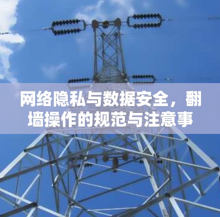 网络隐私与数据安全，翻墙操作的规范与注意事项