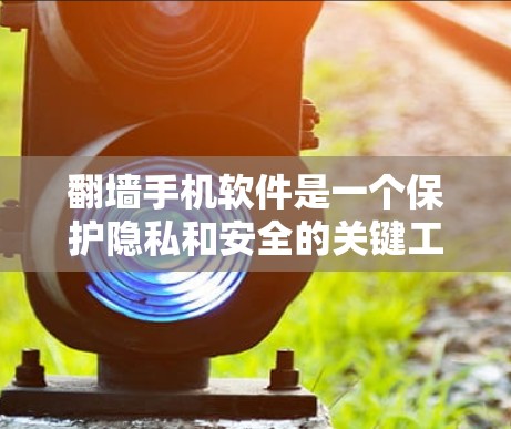 翻墙手机软件是一个保护隐私和安全的关键工具,但使用前需要谨慎考虑。以下是对翻墙手机软件的详细分析和建议 翻墙手机软件是一个保护隐私和安全的关键工具,但使用前需要谨慎考虑。以下是对翻墙手机软件的详细分析和建议
