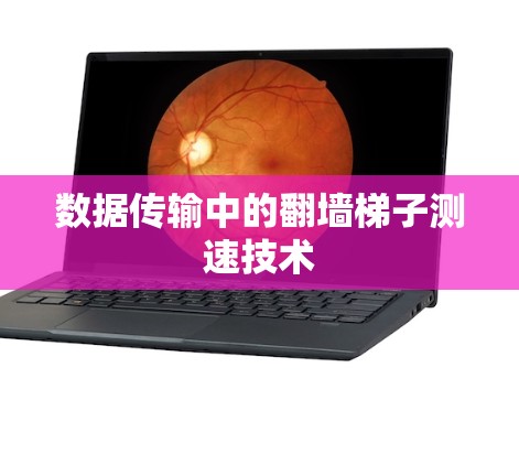 数据传输中的翻墙梯子测速技术