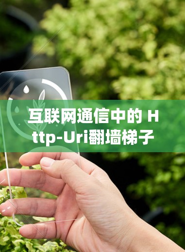 互联网通信中的 Http-Uri翻墙梯子技术解析
