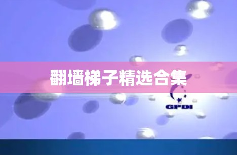 翻墙梯子精选合集