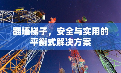 翻墙梯子，安全与实用的平衡式解决方案