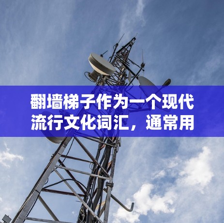 翻墙梯子作为一个现代流行文化词汇，通常用来形容一种通过某种方式绕过障碍物、改变方向的行为。这种词汇的出现，可能源于对现代科技和生活方式的反思，以及对传统观念的质疑