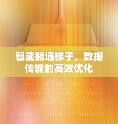智能翻墙梯子，数据传输的高效优化