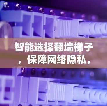 智能选择翻墙梯子，保障网络隐私，促进网络安全