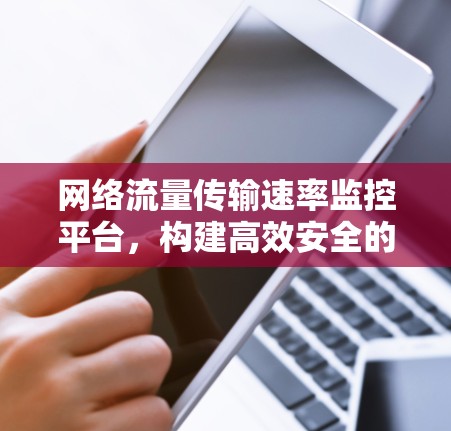网络流量传输速率监控平台，构建高效安全的网络防护体系