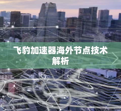 飞豹加速器海外节点技术解析