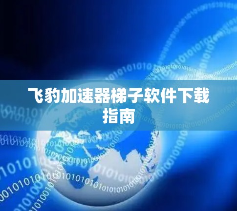 飞豹加速器梯子软件下载指南