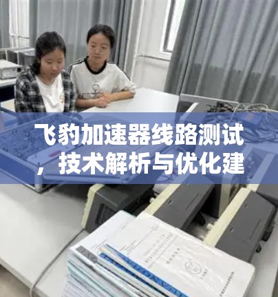 飞豹加速器线路测试，技术解析与优化建议