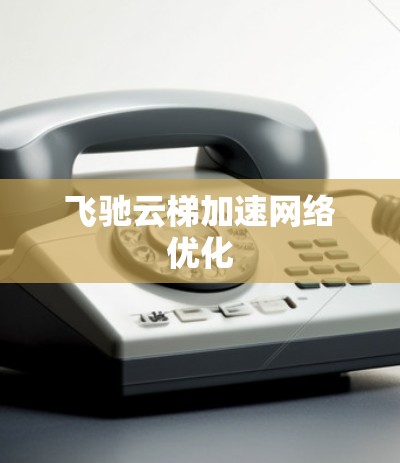 飞驰云梯加速网络优化