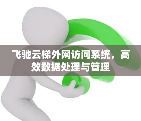 飞驰云梯外网访问系统，高效数据处理与管理