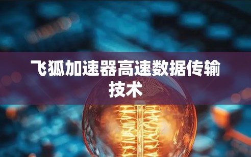 飞狐加速器高速数据传输技术
