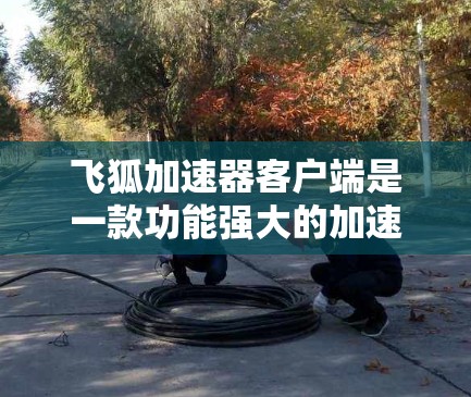 飞狐加速器客户端是一款功能强大的加速工具，专为用户优化网络下载和在线服务提供加速服务。以下是对飞狐加速器客户端的详细介绍