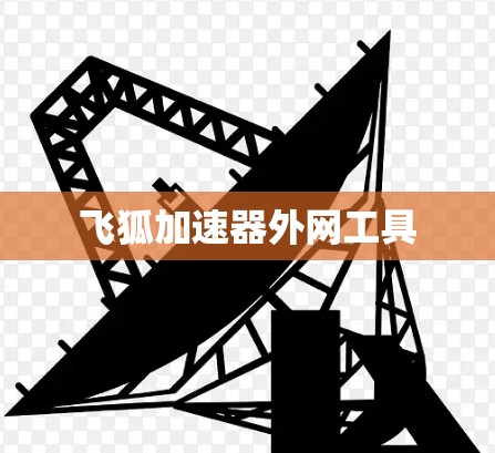 飞狐加速器外网工具