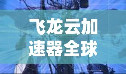 飞龙云加速器全球节点是一个协作的云加速系统，旨在通过整合多个飞龙云加速器，实现对云资源的高效加速和优化。该系统在全球范围内合作，处理大规模数据、优化资源利用率，提升用户体验。以下是该系统的详细分析