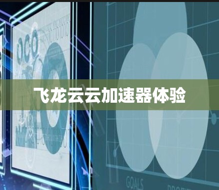 飞龙云云加速器体验