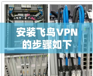 安装飞鸟VPN的步骤如下