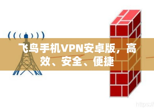 飞鸟手机VPN安卓版，高效、安全、便捷
