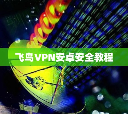 飞鸟VPN安卓安全教程 飞鸟VPN安卓安全教程