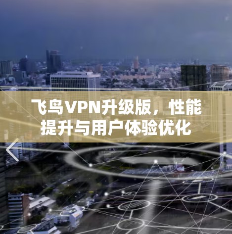 飞鸟VPN升级版,性能提升与用户体验优化 飞鸟VPN升级版,性能提升与用户体验优化