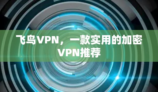 飞鸟VPN，一款实用的加密VPN推荐