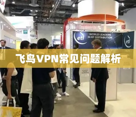 飞鸟VPN常见问题解析 飞鸟VPN常见问题解析