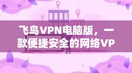 飞鸟VPN电脑版，一款便捷安全的网络VPN解决方案