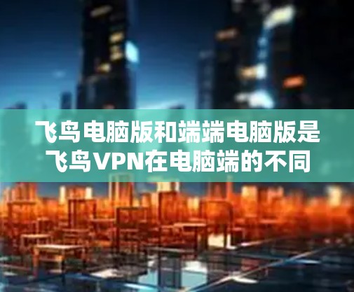 飞鸟电脑版和端端电脑版是飞鸟VPN在电脑端的不同版本，各自具备不同的功能和适用性。以下是它们的主要区别和特点