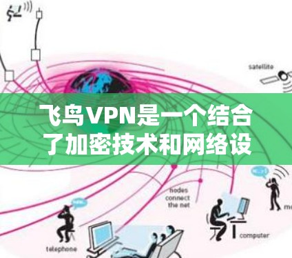 飞鸟VPN是一个结合了加密技术和网络设备的VPN服务，提供在线和线下双重连接。以下是详细的使用指南，帮助用户高效地使用飞鸟VPN
