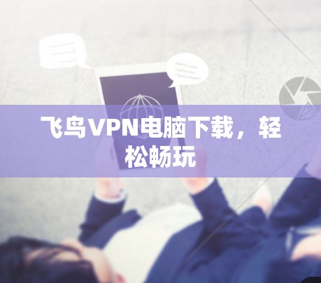 飞鸟VPN电脑下载,轻松畅玩 飞鸟VPN电脑下载,轻松畅玩