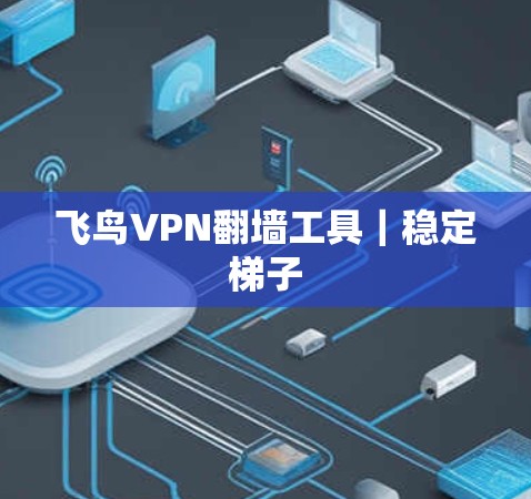飞鸟VPN翻墙工具｜稳定梯子