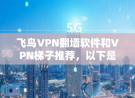 飞鸟VPN翻墙软件和VPN梯子推荐，以下是详细的建议