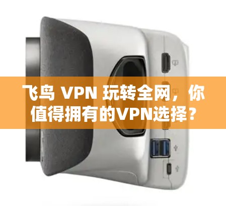 飞鸟 VPN 玩转全网，你值得拥有的VPN选择？
