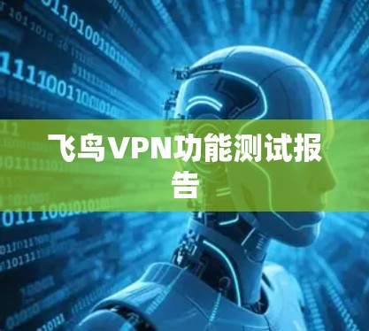 飞鸟VPN功能测试报告