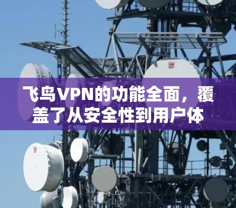 飞鸟VPN的功能全面，覆盖了从安全性到用户体验的多个方面。以下是对其功能的详细分析