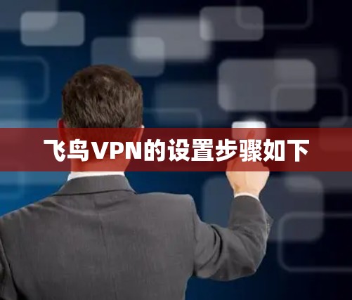 飞鸟VPN的设置步骤如下