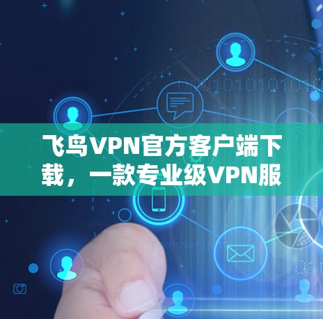 飞鸟VPN官方客户端下载，一款专业级VPN服务，专业级的安全体验