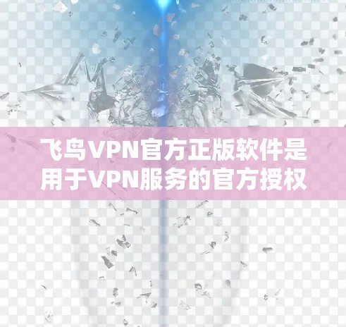 飞鸟VPN官方正版软件是用于VPN服务的官方授权软件，提供安全的网络接入和功能。以下是关于其的主要信息