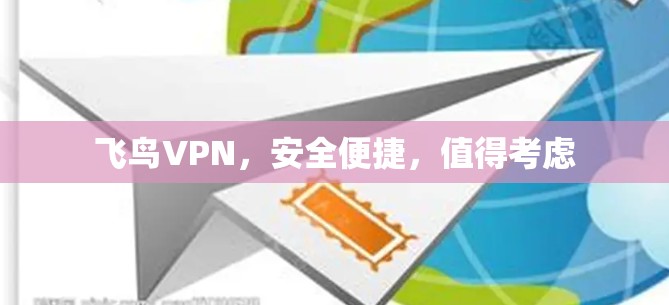 飞鸟VPN，安全便捷，值得考虑