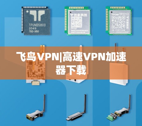 飞鸟VPN|高速VPN加速器下载