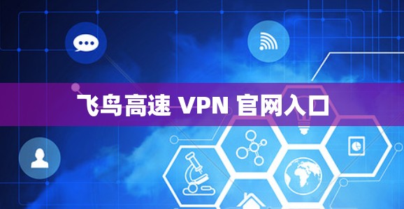 飞鸟高速 VPN 官网入口