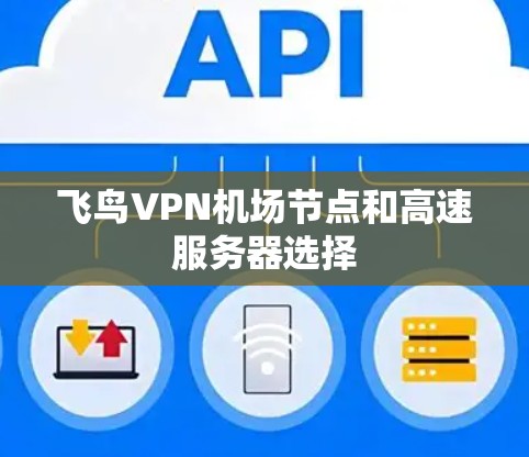 飞鸟VPN机场节点和高速服务器选择 飞鸟VPN机场节点和高速服务器选择